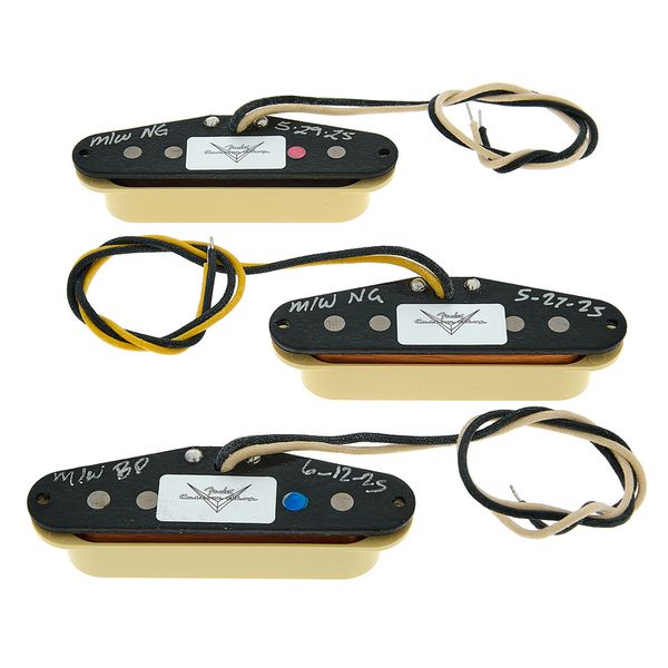 Fender Ancho Poblano Strat Set