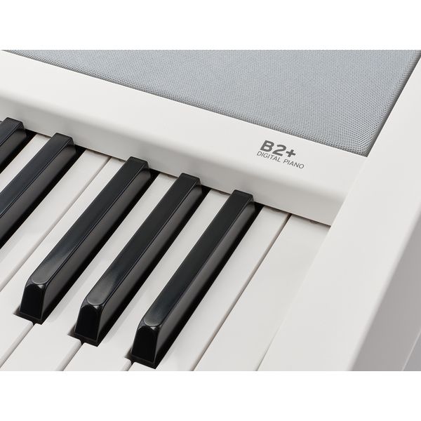 Korg B2+ SP White