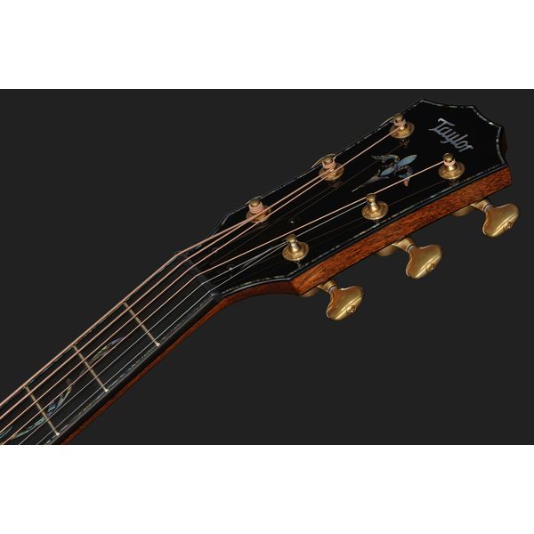 Taylor PS14ce Figured Urban Ironback