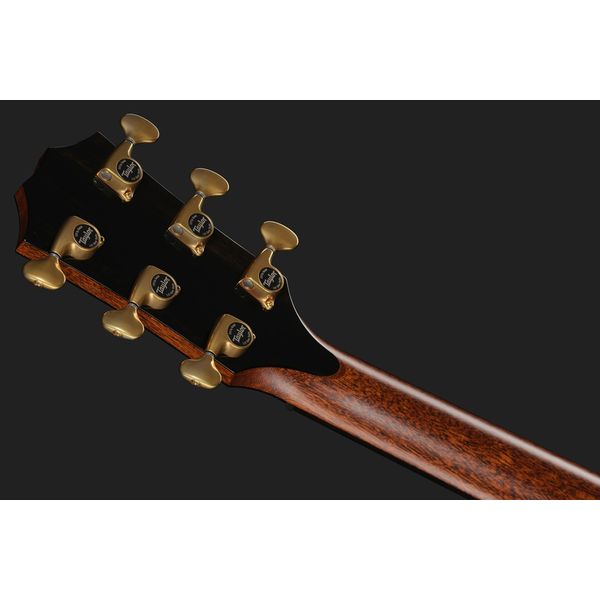 Taylor PS14ce Figured Urban Ironback