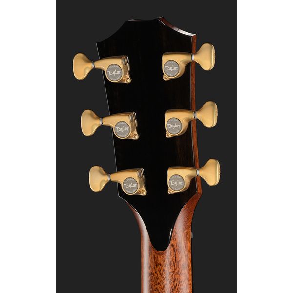 Taylor PS14ce Figured Urban Ironback