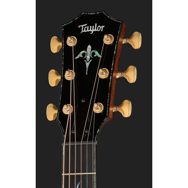 Taylor PS14ce Figured Urban Ironback