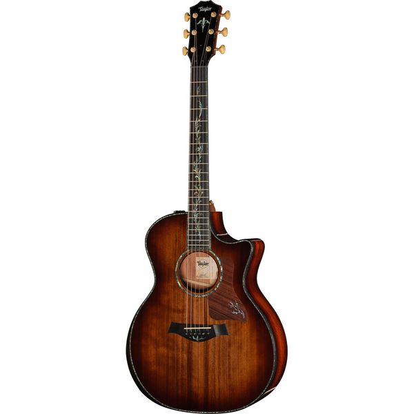 Taylor PS14ce Figured Urban Ironback