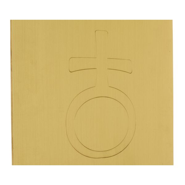 Thomann Sonority Bell Plate Earth