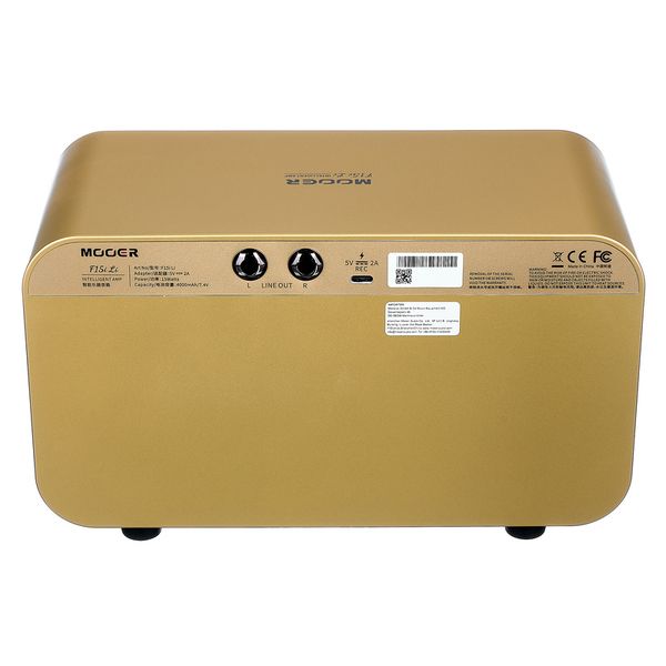 Mooer F15i Li Modeling Guitar IG