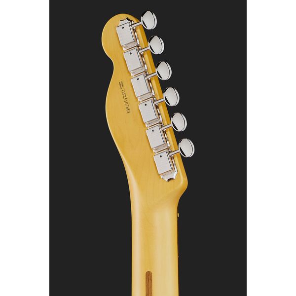 Fender Am Pro Clsc Tele RW FDKR