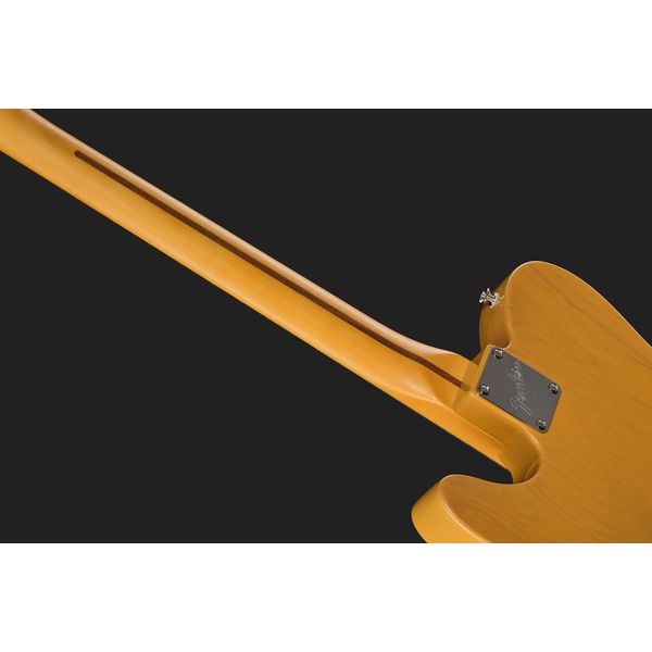 Fender Am Pro Clsc Tele MN BTB