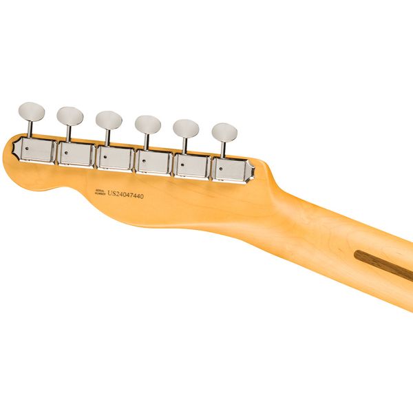 Fender Am Pro Clsc Tele MN FSGM
