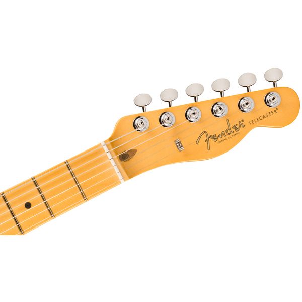 Fender Am Pro Clsc Tele MN FLPB