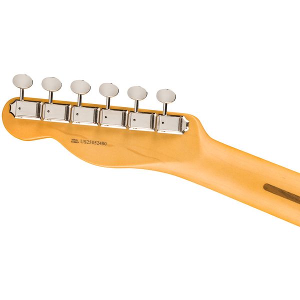 Fender Am Pro Clsc Tele MN FLPB
