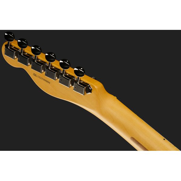 Fender Am Pro Clsc Tele MN FLPB