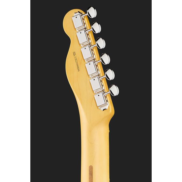 Fender Am Pro Clsc Tele MN FLPB