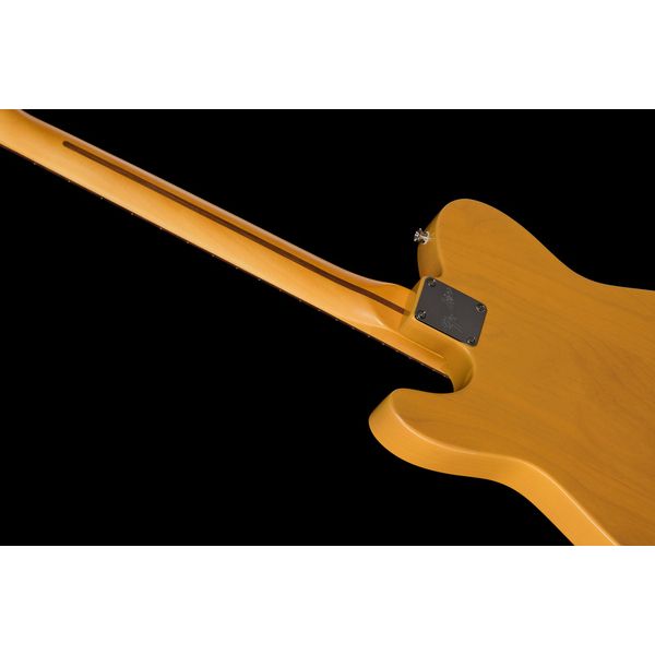 Fender Am Pro Clsc Tele SSS RW BTB