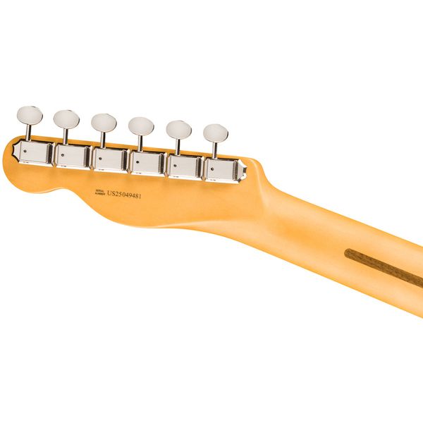 Fender Am Pro Clsc Tele SSS MN FLPB