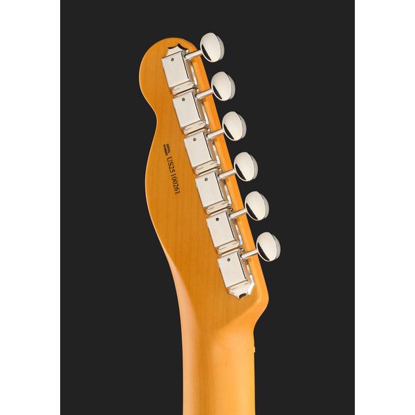 Fender Am Pro Clsc Tele SSS MN FLPB