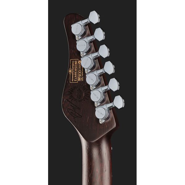 Schecter Nick Johnston 10th An HSS AG