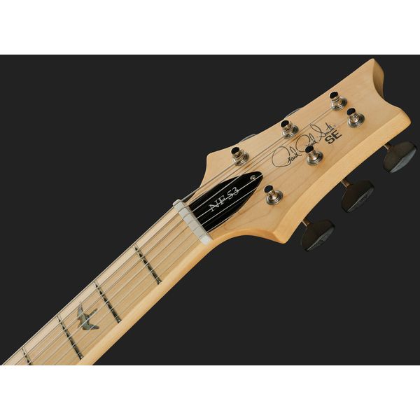 PRS SE NF 53 Black Doghair