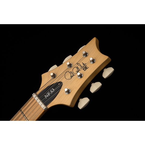 PRS SE NF 53 White Doghair