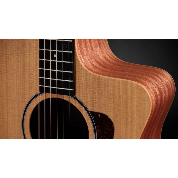 Taylor 14ce