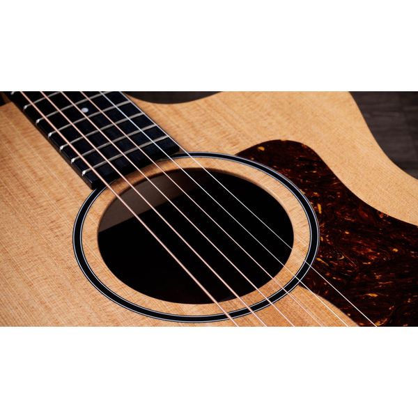 Taylor 14ce