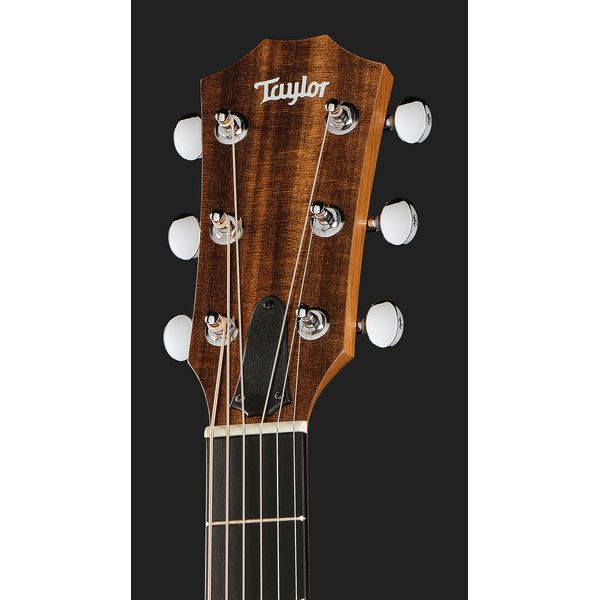 Taylor 24ce