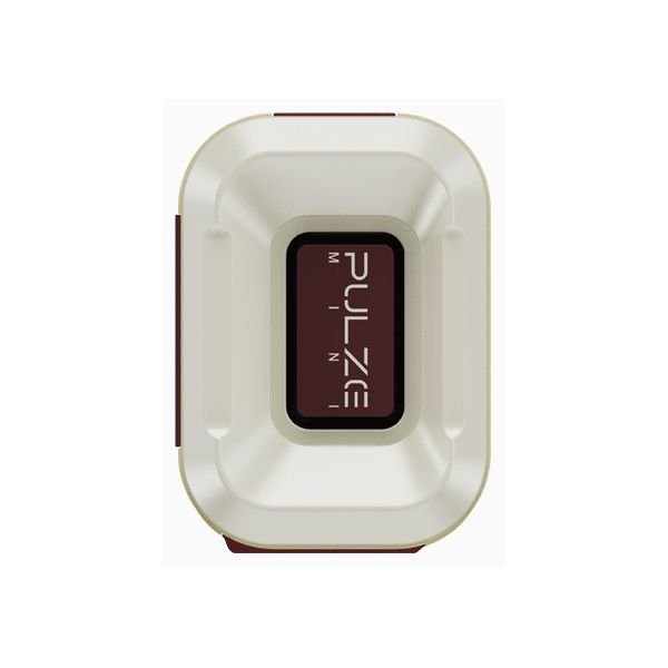 Hotone Pulze Mini