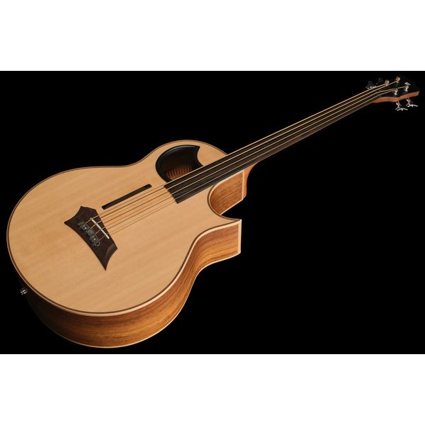 Warwick Alien 4 FL NT