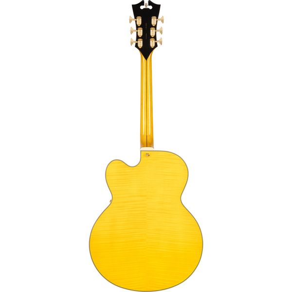 DAngelico Excel EXL1 Amber