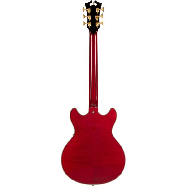 DAngelico Excel Mini DC Trans Cherry 25