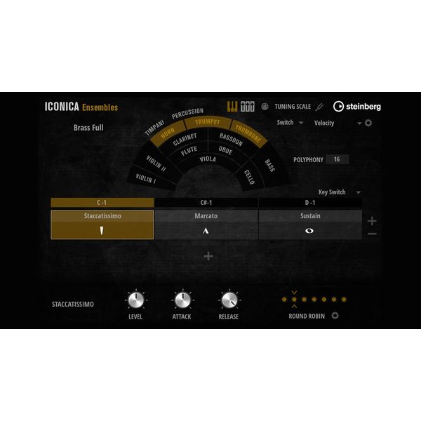 Steinberg Iconica Ensembles