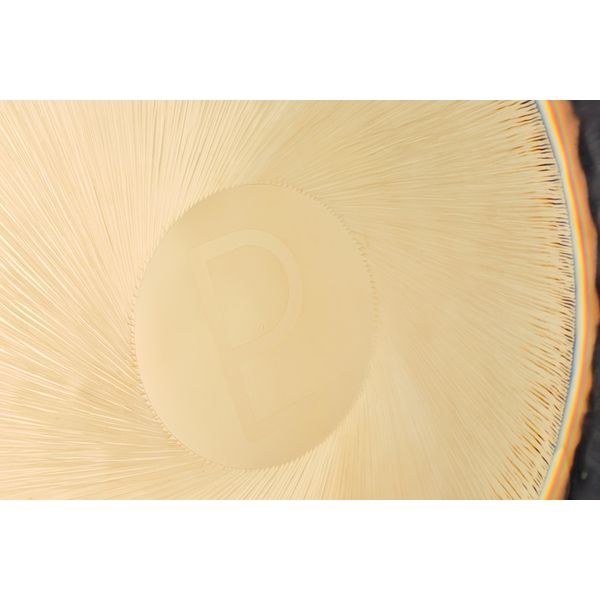Auris Gongs 32"/80cm Planet Gong Pluto