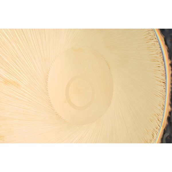 Auris Gongs 32"/80cm Planet Gong Mars