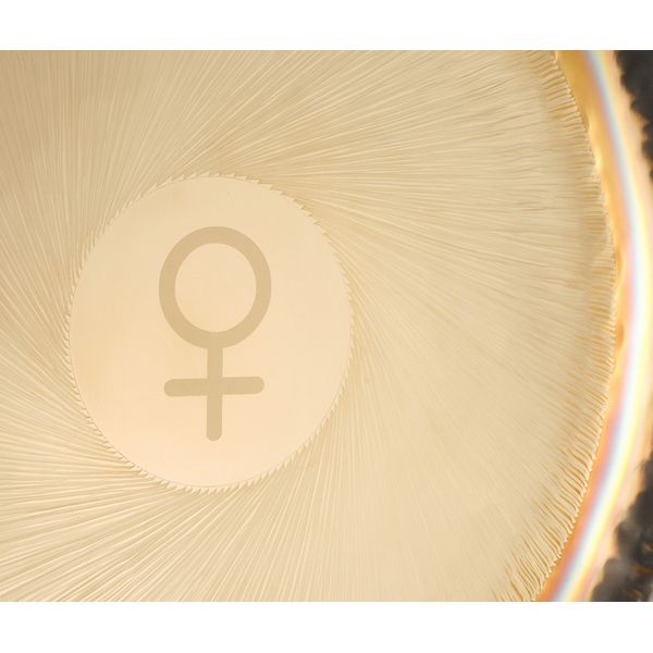 Auris Gongs 24"/60cm Planet Gong Venus