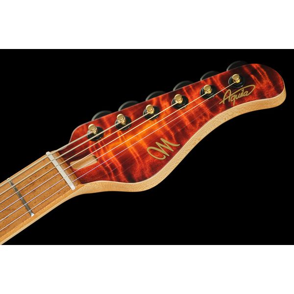 Mayones Guitars Aquila Elite S 6 Poplar LB