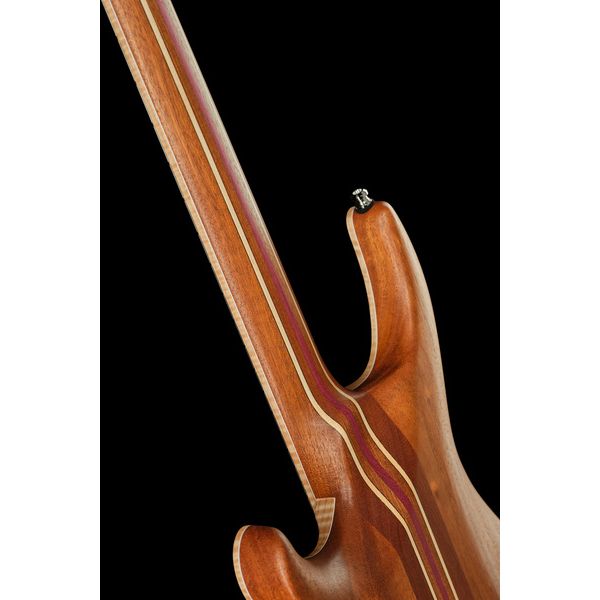 Mayones Guitars Regius Core 6 AMH
