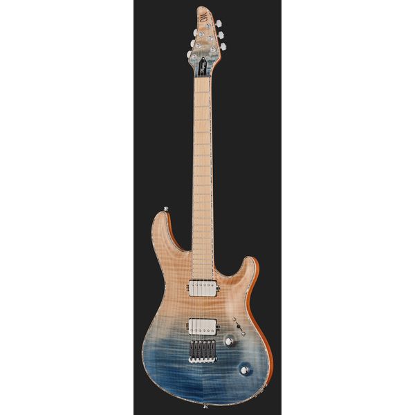 Mayones Guitars Regius Core 6 AMH