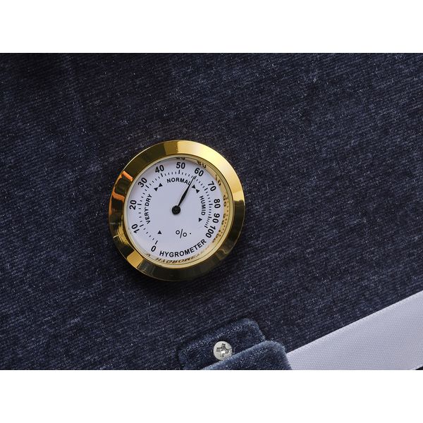 Roth & Junius Sollievo No.1 Violin Case 4/4