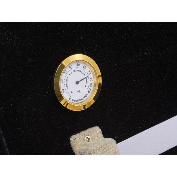 Roth & Junius Sollievo No.2 Violin Case 4/4