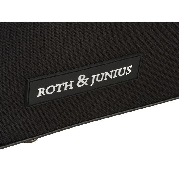 Roth & Junius Sollievo No.2 Violin Case 4/4