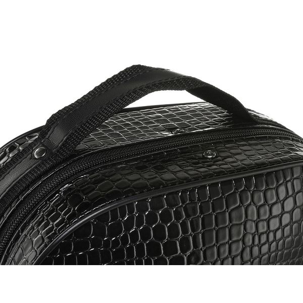 Roth & Junius Sollievo No.3 Violin Case 4/4