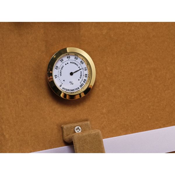 Roth & Junius Sollievo No.3 Violin Case 4/4