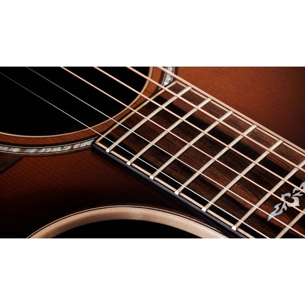 Taylor 814ce Special Edition Sedona