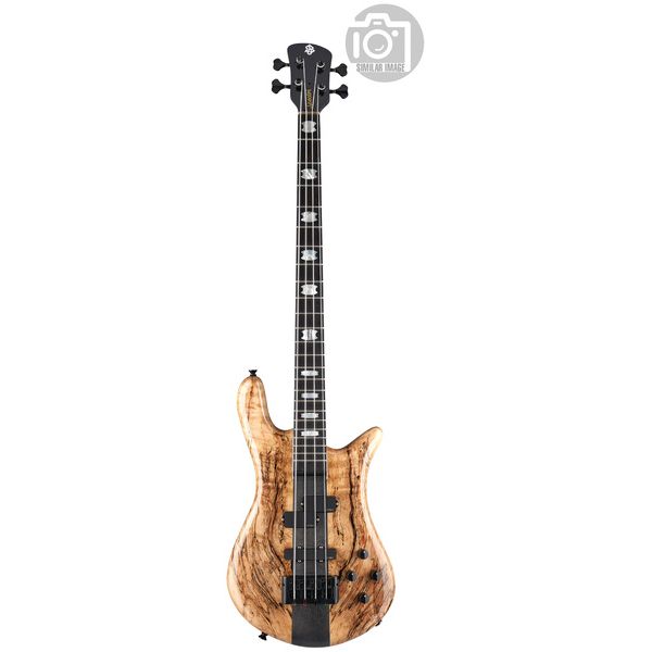 Spector Euro 4 CST Spalted Maple Ltd