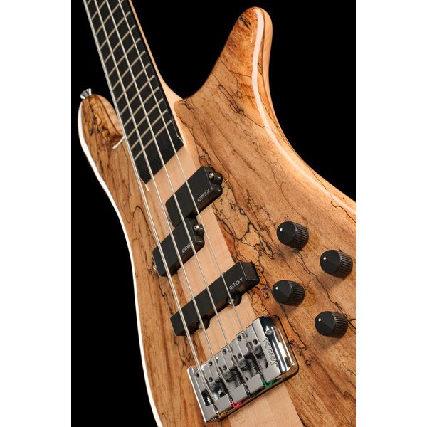 Spector Euro 4 CST Spalted Maple Ltd