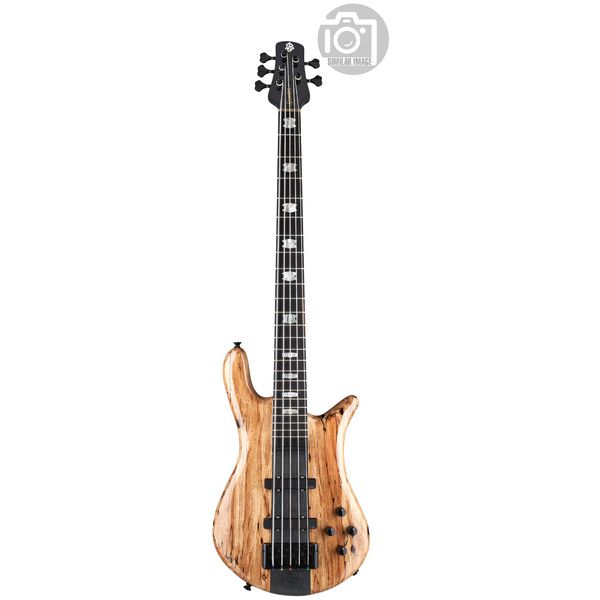 Spector Euro 5 CST Spalted Maple Ltd