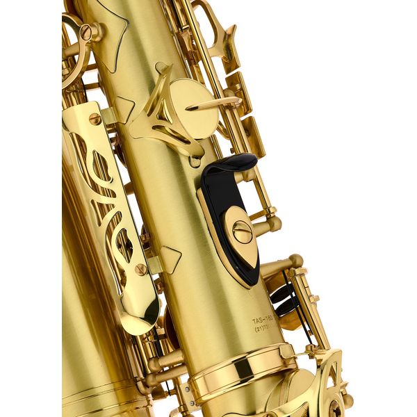 Thomann TAS-180 Matt Alto Sax