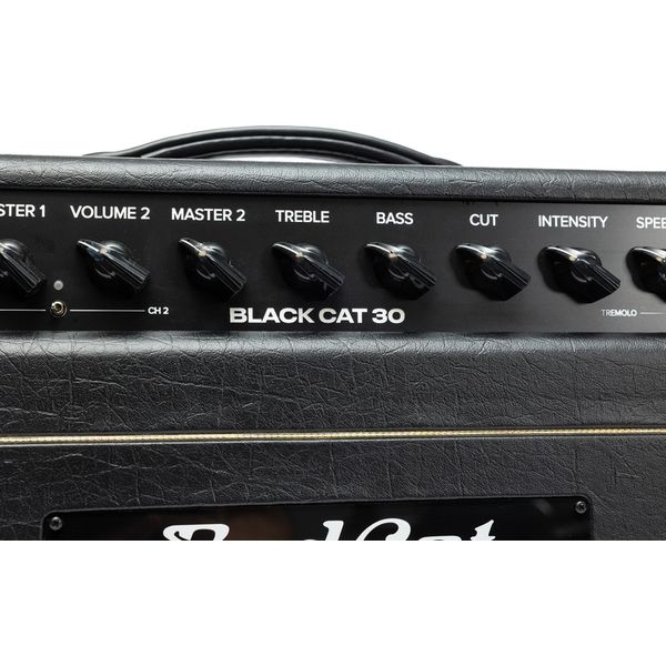 Bad Cat Mod Shop Black Cat 30 Head