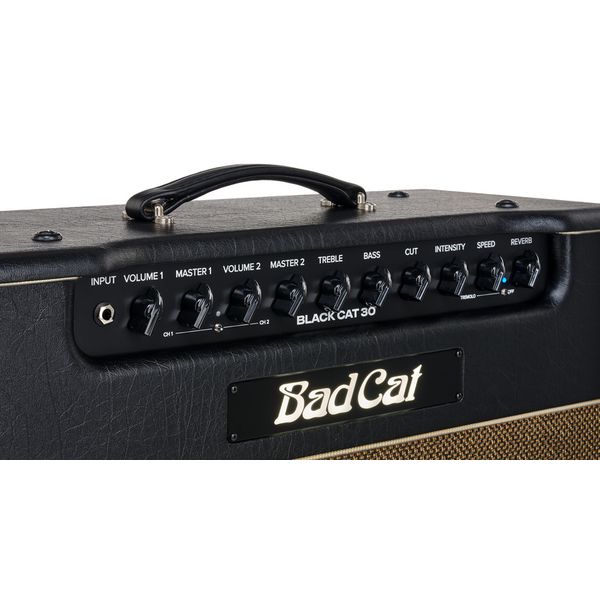 Bad Cat Mod Shop Black Cat 30 Combo
