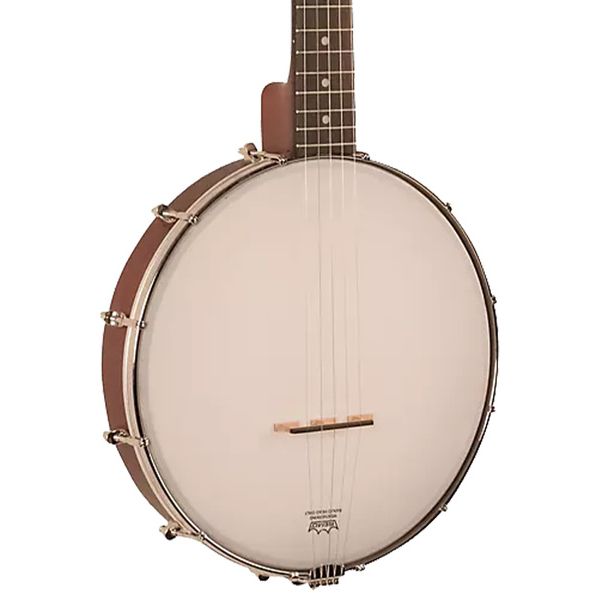 Recording King Dirty 30s 3S Open Back Banjo