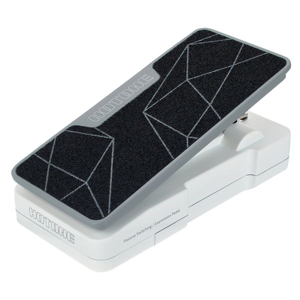 Hotone Pulze Mini Control Exp Bundle